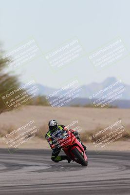 media/Nov-30-2025-TrackXperience (Sun) [[c0061d280f]]/2-Level 2/Session 6 Turn 4 Tree of Life/